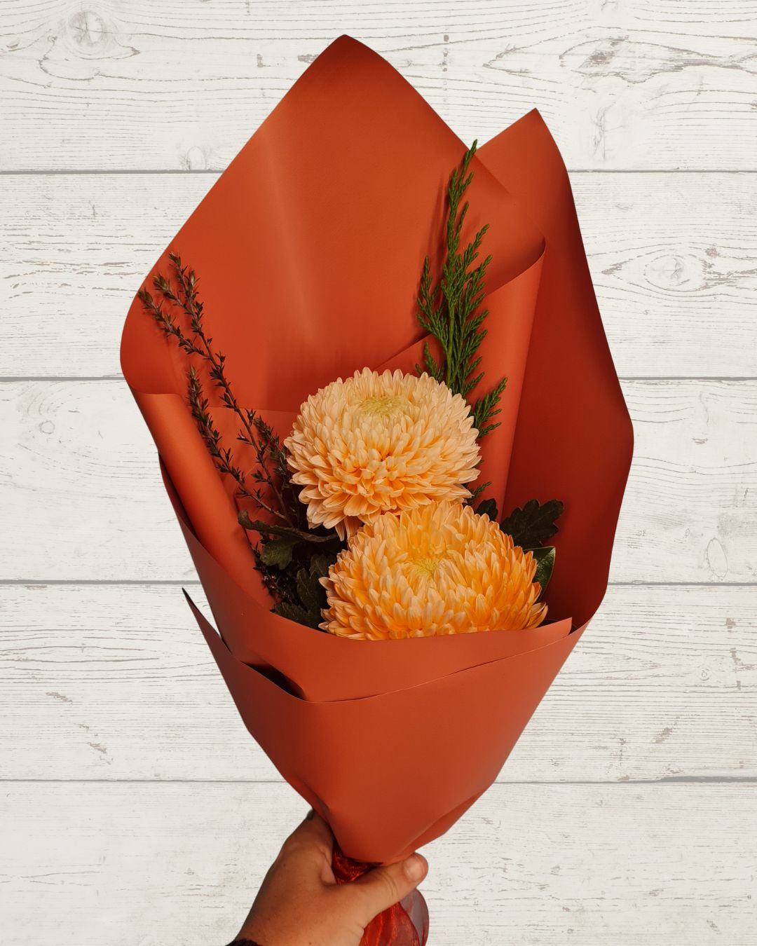 Bold Bloom Duo – Two Seasonal Flowers Gift Wrapped