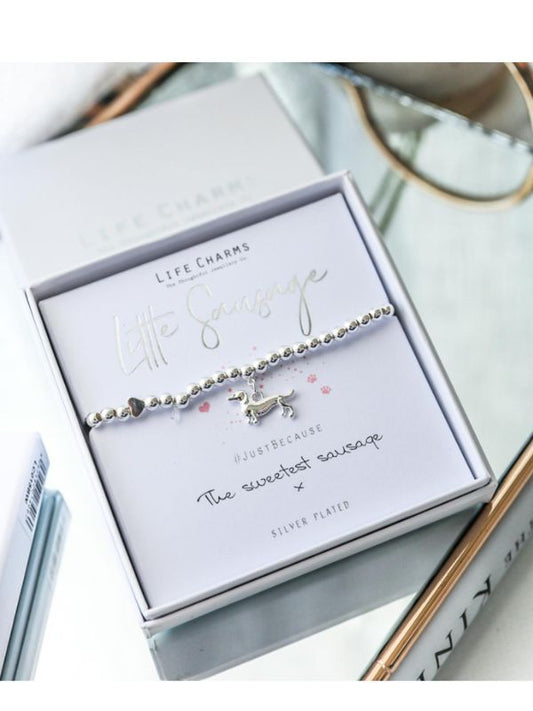 Bracelet with dog charm in a 'Life Charms' box on a white surface