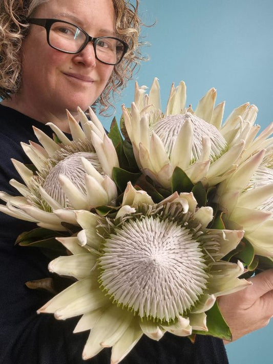 Seasonal Flowers in NZ | What’s Blooming Now – Florist Ilene
