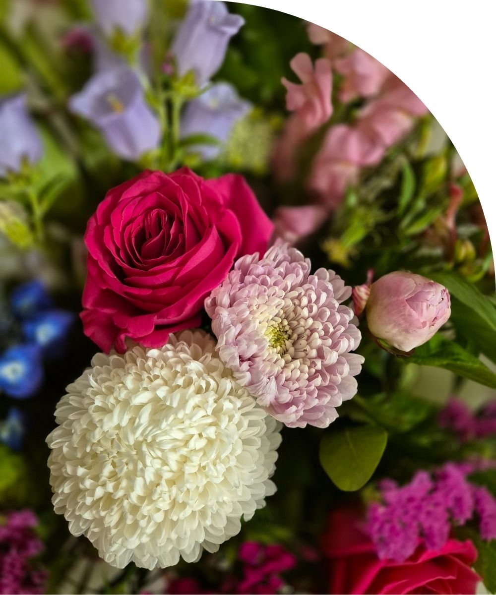A close up photo of a rose, peony chrysanthemum and a standard chrysanthemum. 