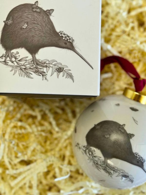 brown kiwi bauble and box on a brown background
