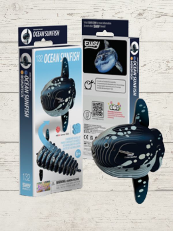 Ocean Sunfish model with packaging on a wooden surface