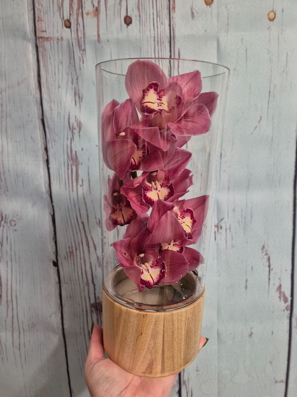 Orchid love