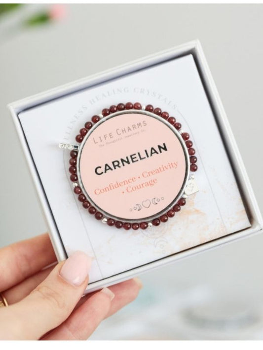 Life Charms Carnelian bracelet in a box held by a hand