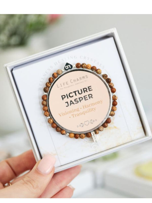Bracelet with 'Picture Jasper' description in a white box held by a hand.