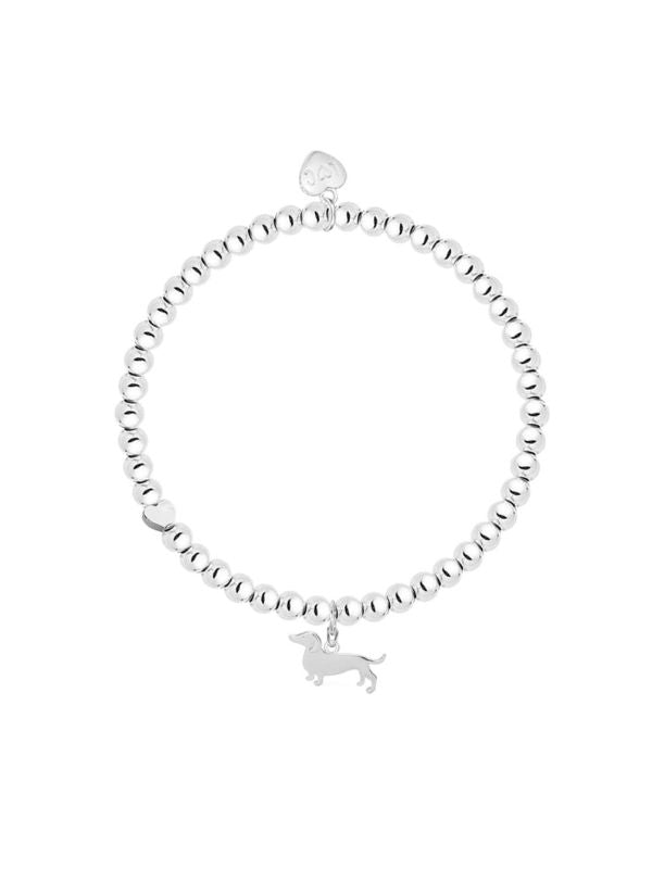 Silver bracelet with a small dog charm on a white background