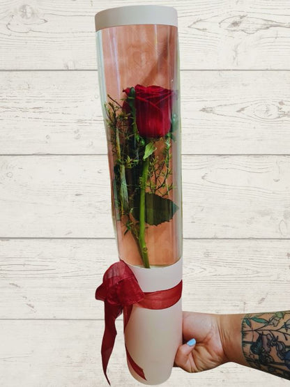 A single red rose giftwrapped in a clear cylinder with a red ribbon, presented in a vertical format.