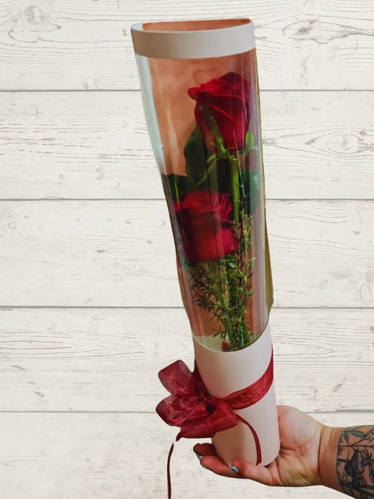 two red roses in pink cylinder with red ribbon