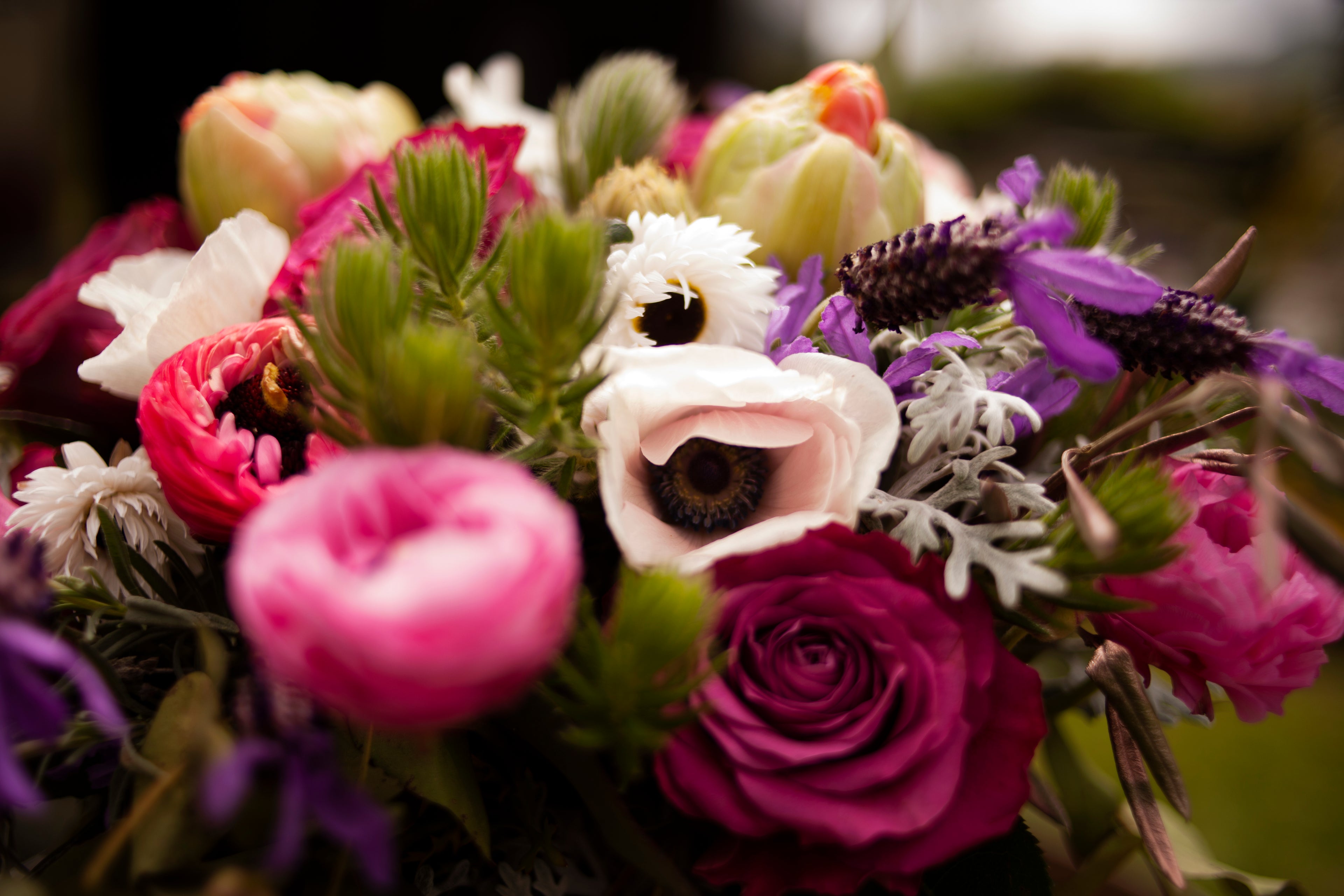 Close-up of a bouquet of flowers with a blurred background