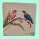 Tui bird painted on tile